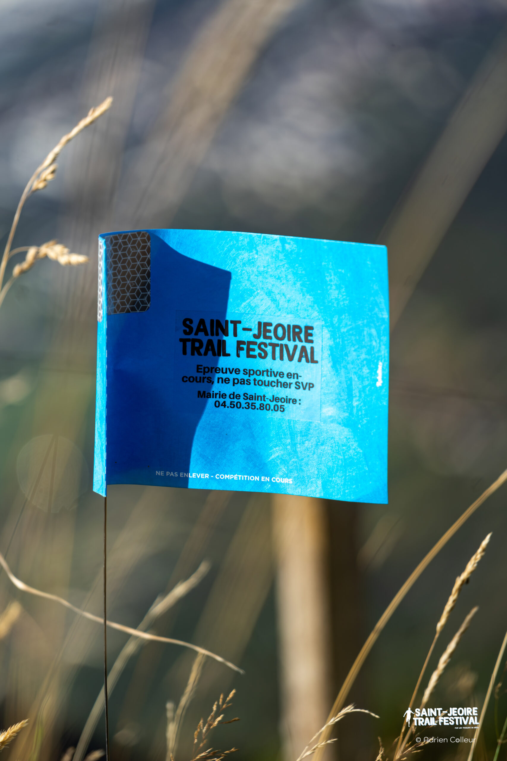 Saint Jeoire Trail Festival